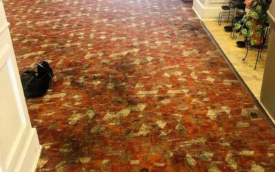 Elevate Your Commercial Space with Alamo Steam Team’s Premier Carpet Cleaning