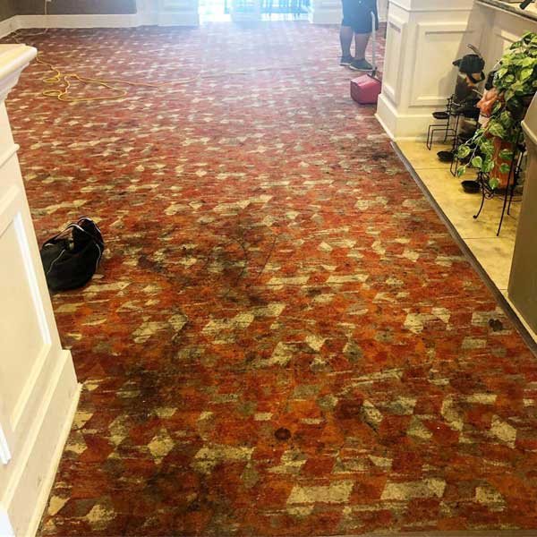 Commercial Carpet Cleaning - Before
