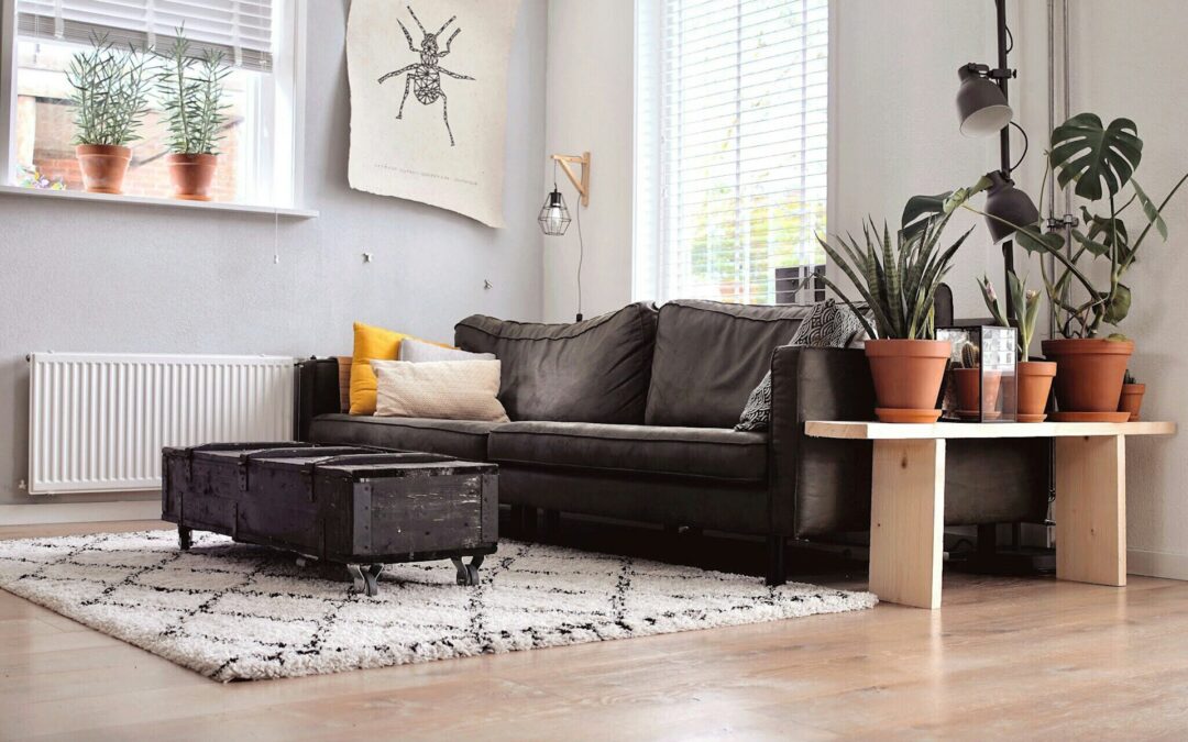 Enhancing Indoor Air Quality with Professional Carpet Cleaning Services