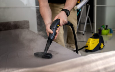 Reviving Your Sofas: A Comprehensive Guide to Sofa Steam Cleaning