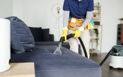 Why Your Furniture Needs Upholstery Cleaning