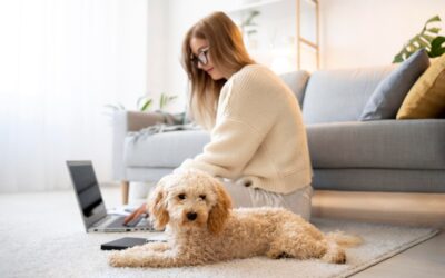 How to Get Rid of Pet Odors in Carpets