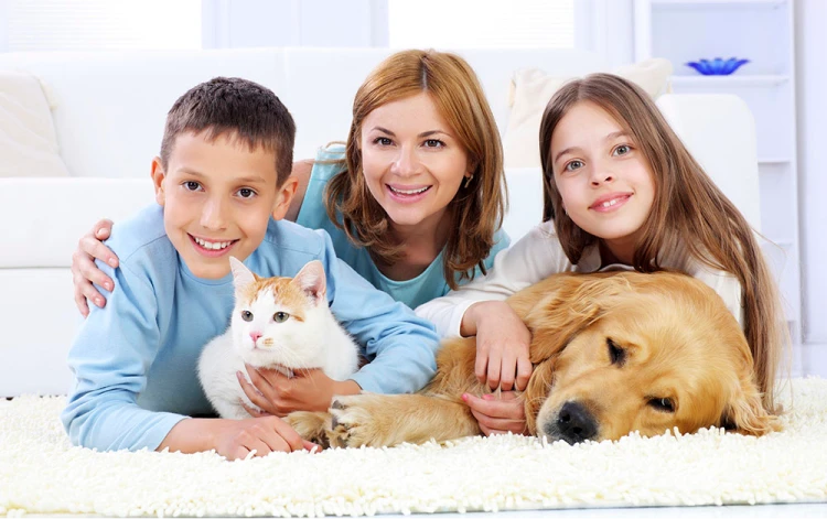 Alamo-Steam-Team-Pet-Odor-Treatment-Services 1 Alamo-Steam-Team-Pet-Odor-Treatment-Services 1