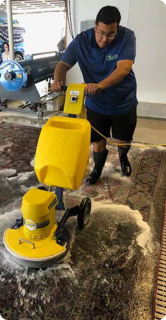 alamo_orientalandarearug_cleaning alamo_orientalandarearug_cleaning